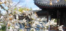 Dr Sun Yat Sen Classical   Chinese Garden