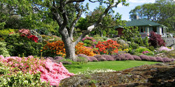 Abkhazi Garden