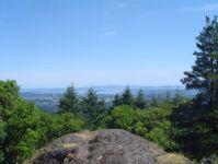 Bear Hill