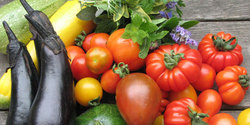 �kologisches Essen/Wein