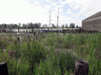 Steveston Walking Tour