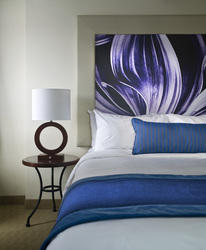 Hochzeitszimmer mit Whirlpool