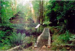 TLC Cowichan River Cabin