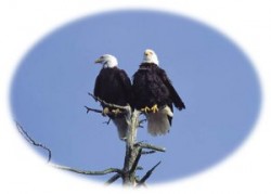 Bird-watching Tours - Vogelbeobachtungstouren
