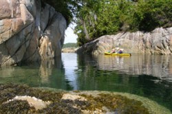Kajaktour zum Broughton Archipelago und der Johnstone Strait