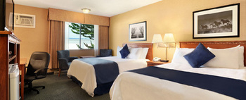 Kitchenette Suite