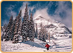 Fernie im Pulverschnee