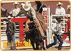 Reiter & Cowboys
