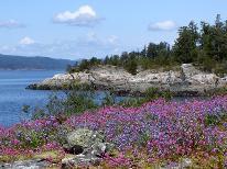 Ausflugsfahrt zum "Copeland Islands Marine Park"