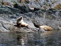 Fahrt zum Mitlenatch Island Nature Provincial Park 