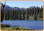 Mountains of Flora and Fauna 