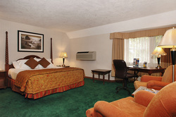 Deluxe Emerald Suite