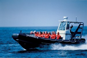 TOFINO Whale Watching - Zodiac