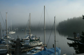 Die Marina