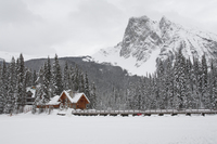 Emerald Lake Lodge, Field