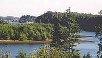 Moon & Sixpence Bed & Breakfast , Ucluelet