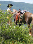 Silver Spur Trails , Lumby