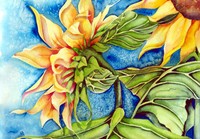Infinite Ideas, Crystal  Babcook, Summerland