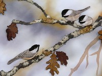 Pebblehill Art Studio, Maureen (Moe) Reilly, Victoria
