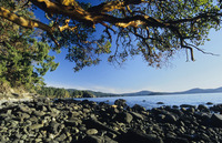 West Coast Trekking, Shawnigan Lake