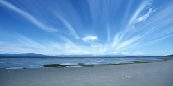 Rathtrevor Beach