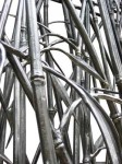 Bellowing Blacksmith, Sandy Sydnam, Victoria