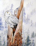 Valerie Rogers Paintings, Salmon Arm