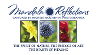 Mandala Reflections, Vernon
