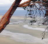 Island Exposures Studio and Art Gallery, Craig  Carmichael, Nanoose Bay