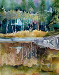 Cal Kimola Brown - Fine Art, Cal Brown, Kamloops