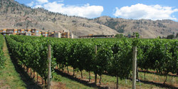 Okanagan Valley