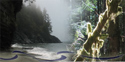 British Columbia Provincial/Regional/National Parks